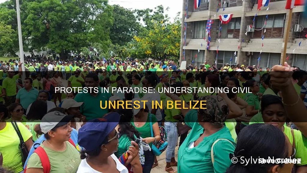 is there protest in belize