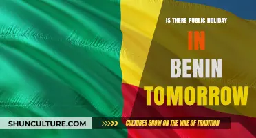 Benin Public Holiday Update: What to Expect Tomorrow