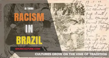 Unveiling Brazil's Racial Complexities: Confronting Racism in a Diverse Nation