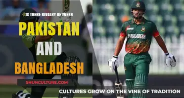 Pakistan-Bangladesh Rivalry: Historical Tensions and Modern Relations Explored