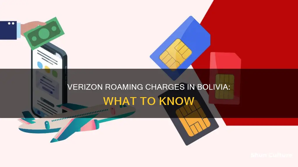 is there roaming charges in bolivia for verizon