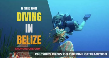 Shore Diving in Belize: Exploring the Underwater World from the Beach