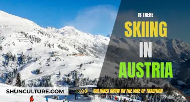 Skiing in Austria: What You Need to Know