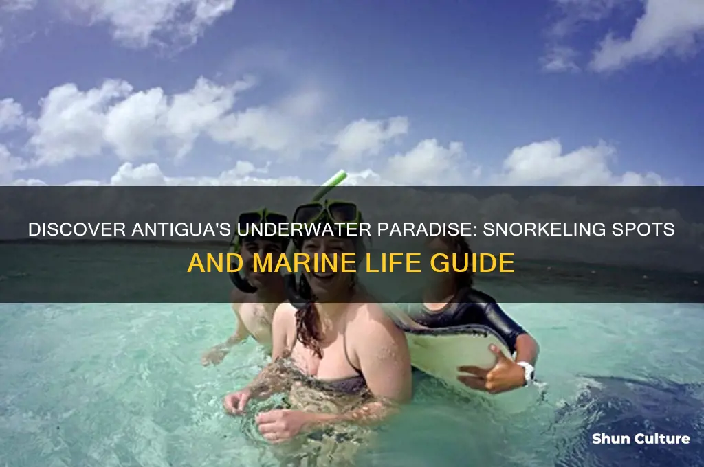 is there snorkeling in antigua