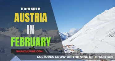 February Snow in Austria: What to Expect