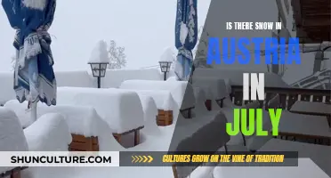 Snow in Austria: What to Expect in July