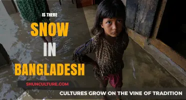 Does Bangladesh Experience Snow? Exploring Its Climate and Weather Patterns