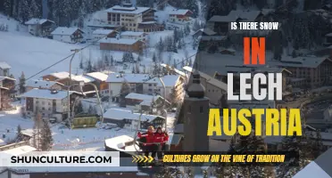 Lech, Austria: A Winter Wonderland of Snow?