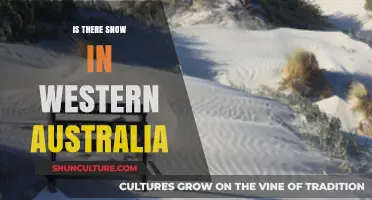 Snow in Western Australia: A Rare Occurrence