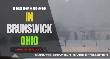 Winter Wonder in Brunswick, Ohio