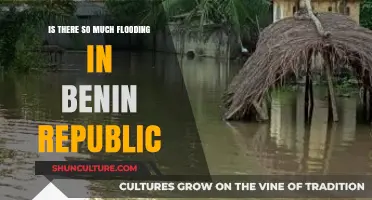 Understanding the Flooding Crisis in Benin Republic: Causes and Consequences