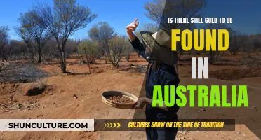 Gold Prospecting in Australia: Is There Any Left?