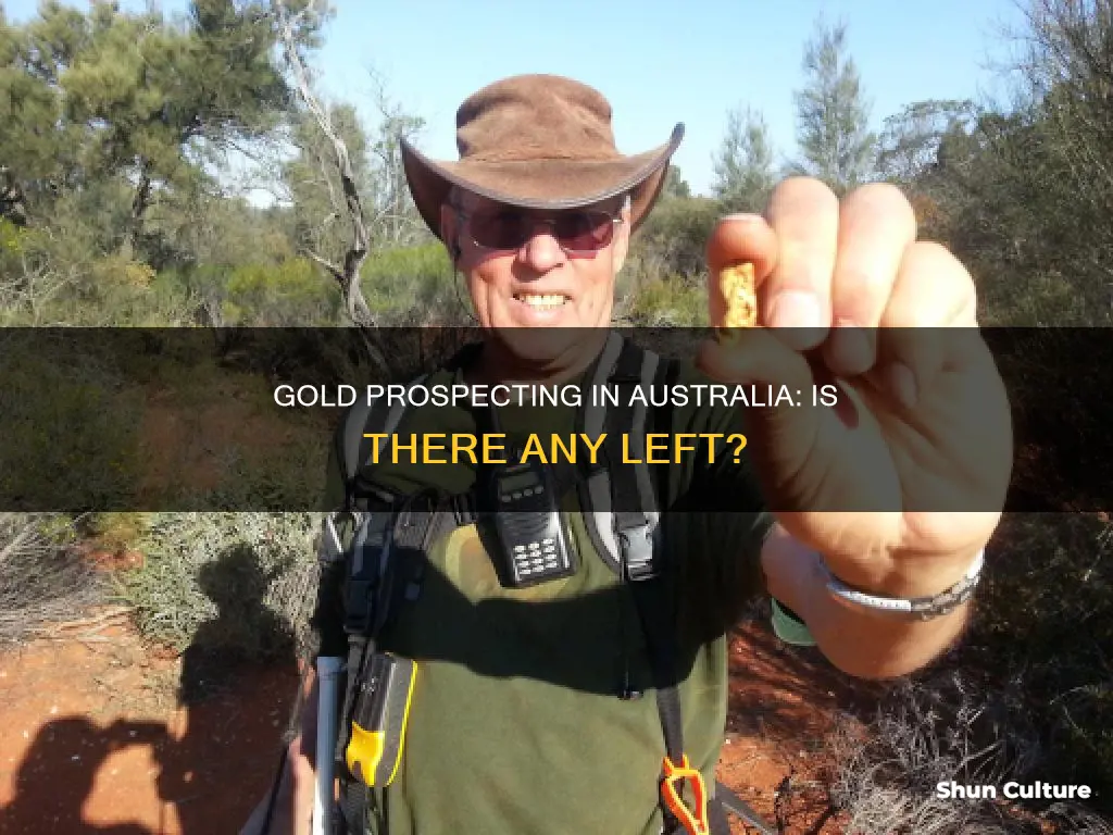 is there still gold to be found in australia