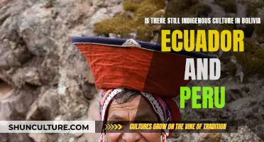 Indigenous Culture in Bolivia, Ecuador, and Peru: Still Thriving?