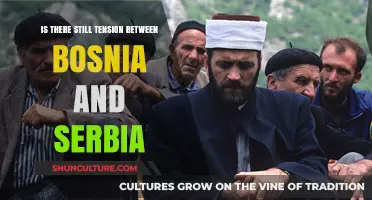Bosnia-Serbia Relations: Lingering Tensions and the Path to Reconciliation