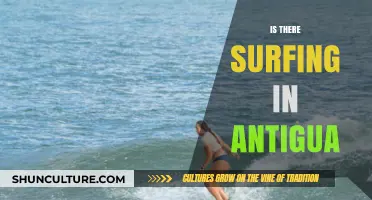 Discover Antigua's Hidden Surf Spots: Waves and Adventure Await