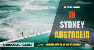 Sydney's Surfing Scene: Exploring Waves and Beaches in Australia