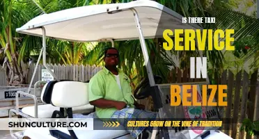 Taxi Services in Belize: What You Need to Know