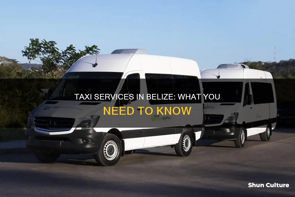 is there taxi service in belize