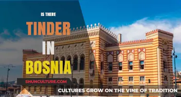 Exploring Bosnia's Dating Scene: Is Tinder Popular in Sarajevo?