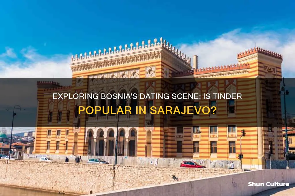 is there tinder in bosnia