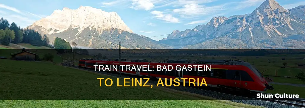 is there train service from bad gastein to leinz austria