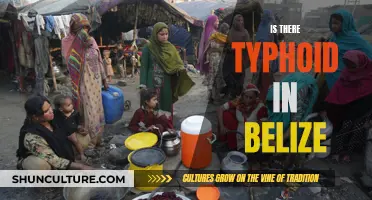 Typhoid Fever in Belize: Understanding the Risks and Prevention