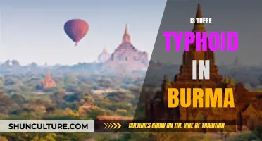 Exploring Typhoid Risks in Burma: A Health Traveler's Guide