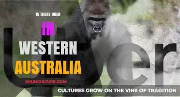 Uber in Western Australia: Available or Not?
