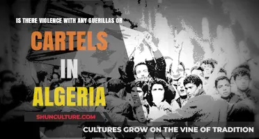 Algeria's Guerilla and Cartel Violence: Reality or Misconception?