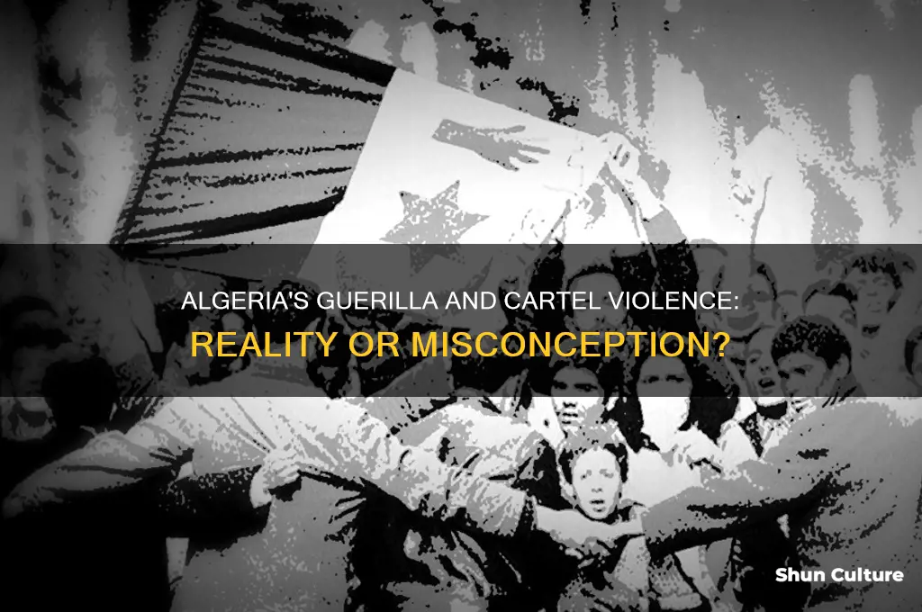 is there violence with any guerillas or cartels in algeria