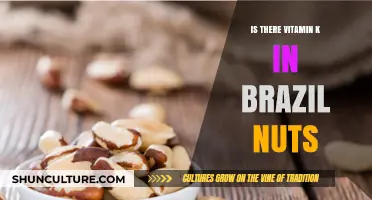 Brazil Nuts and Vitamin K: Uncovering Nutritional Facts and Benefits