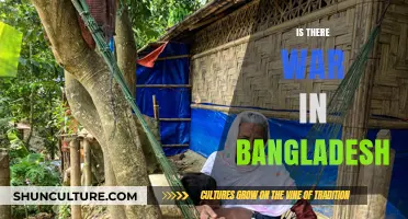 Is There War in Bangladesh? Unraveling the Current Situation and Peace Efforts