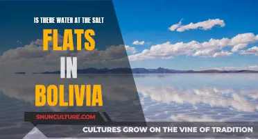 Exploring Bolivia's Salt Flats: Where Water Meets Salt