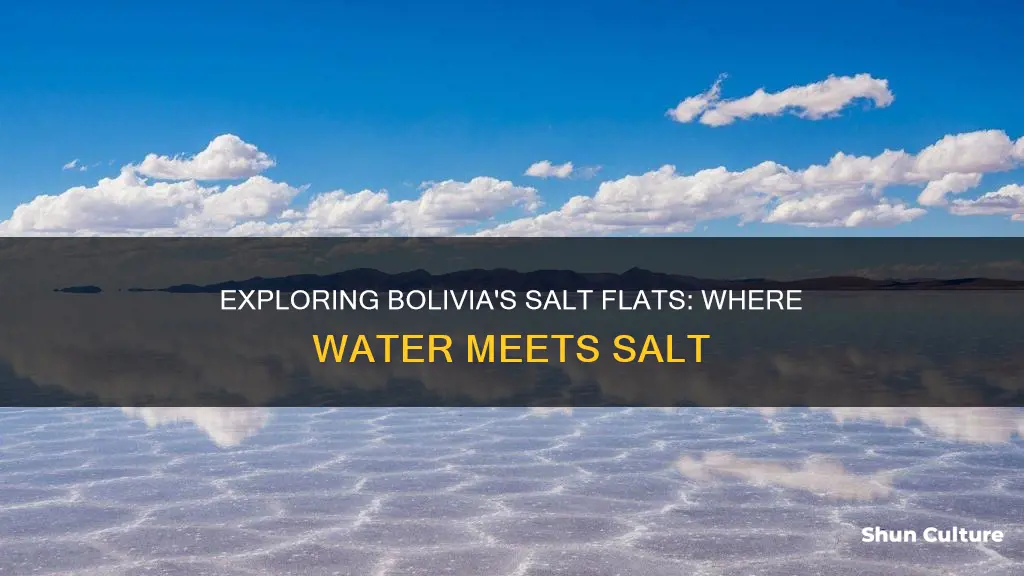 is there water at the salt flats in bolivia