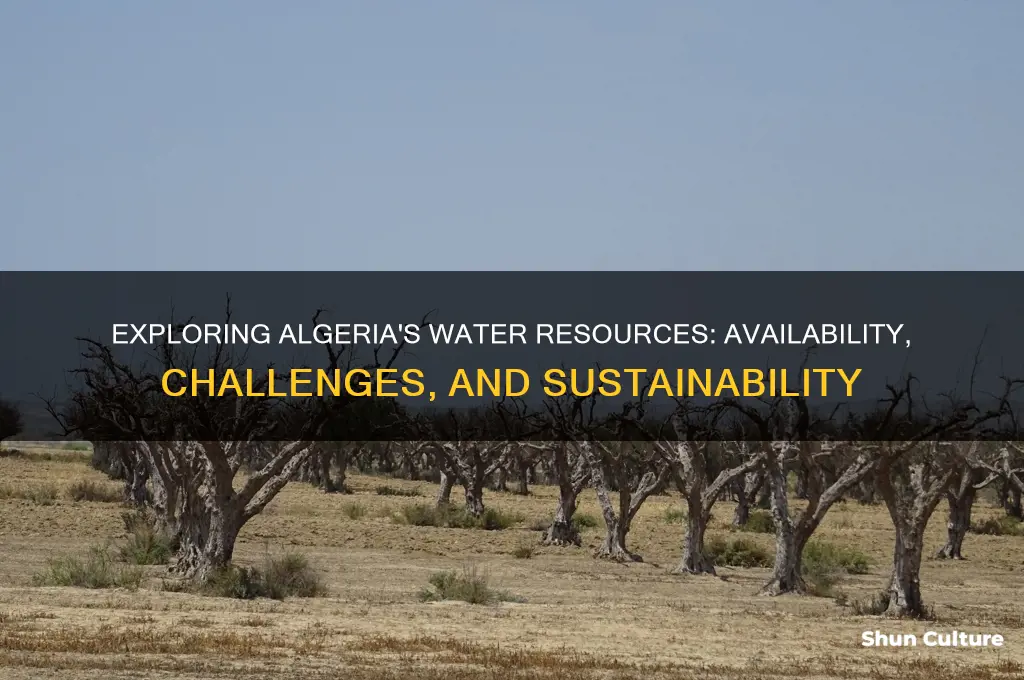 is there water resource in algeria
