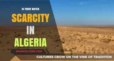 Algeria's Water Crisis: Scarcity Challenges and Sustainable Solutions