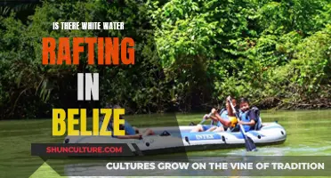 White-Knuckle Thrills: Rafting in Belize's Untamed Waters