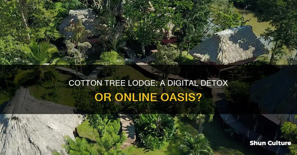 is there wifi at cotton tree lodge belize