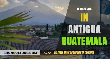 Zika in Antigua Guatemala: Current Risks and Travel Precautions