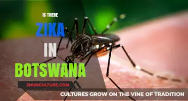 Zika Virus in Botswana: Current Status and Travel Precautions