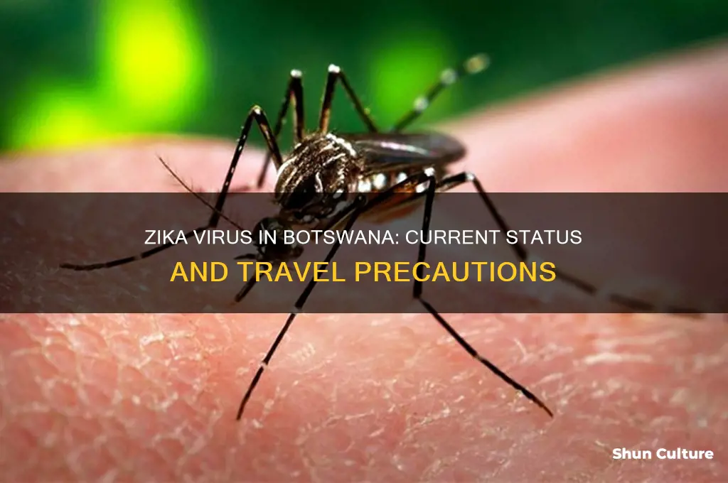 is there zika in botswana