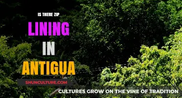 Discover Antigua's Thrilling Zip Lining Adventures: A Guide for Travelers