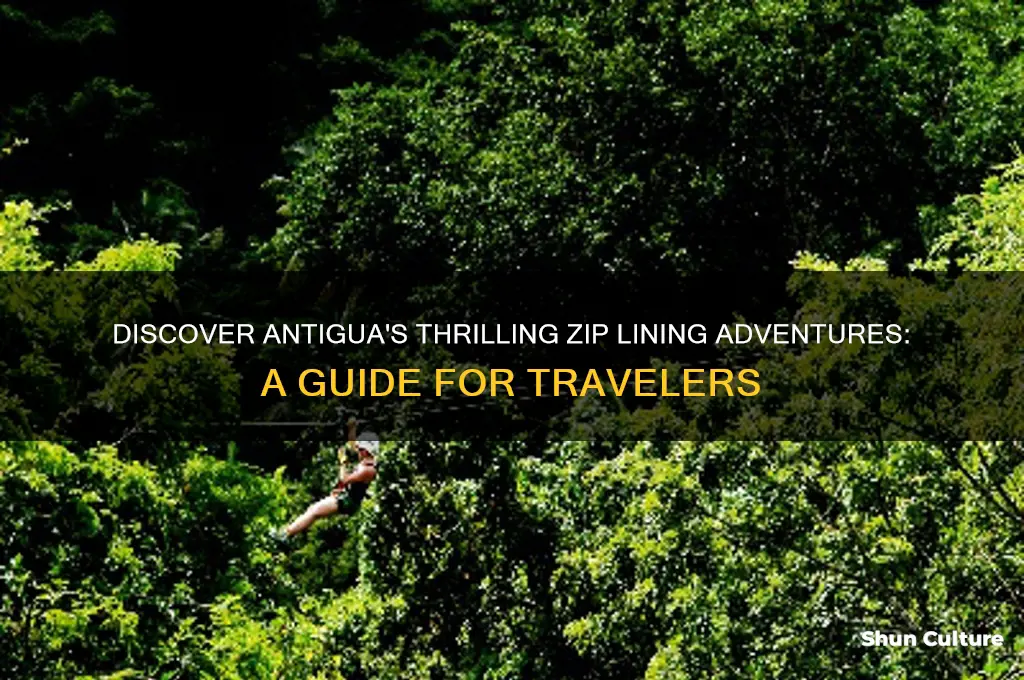 is there zip lining in antigua