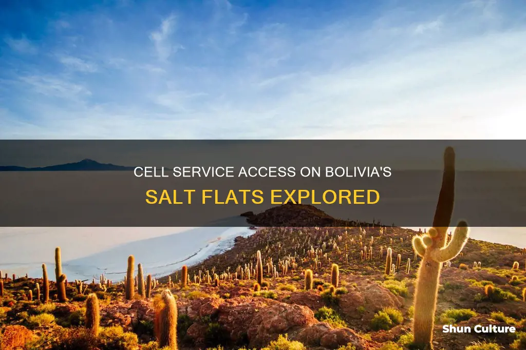 is therecell service salt flats bolivia