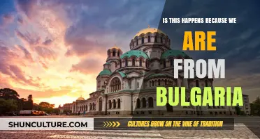 Cultural Reflections: Understanding Bulgaria's Impact on Our Experiences