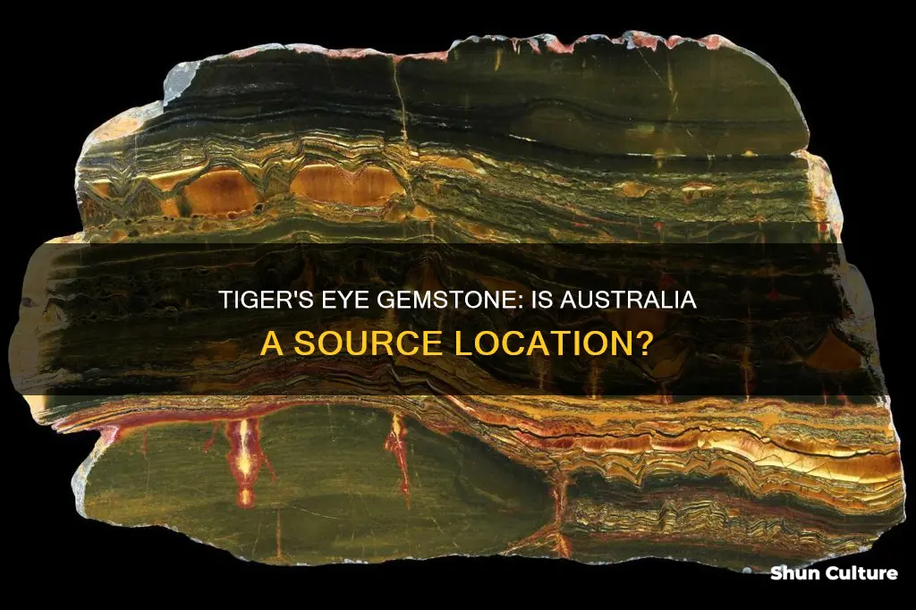 is tiger