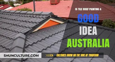 Tile Roof Painting: A Smart Choice for Australians?