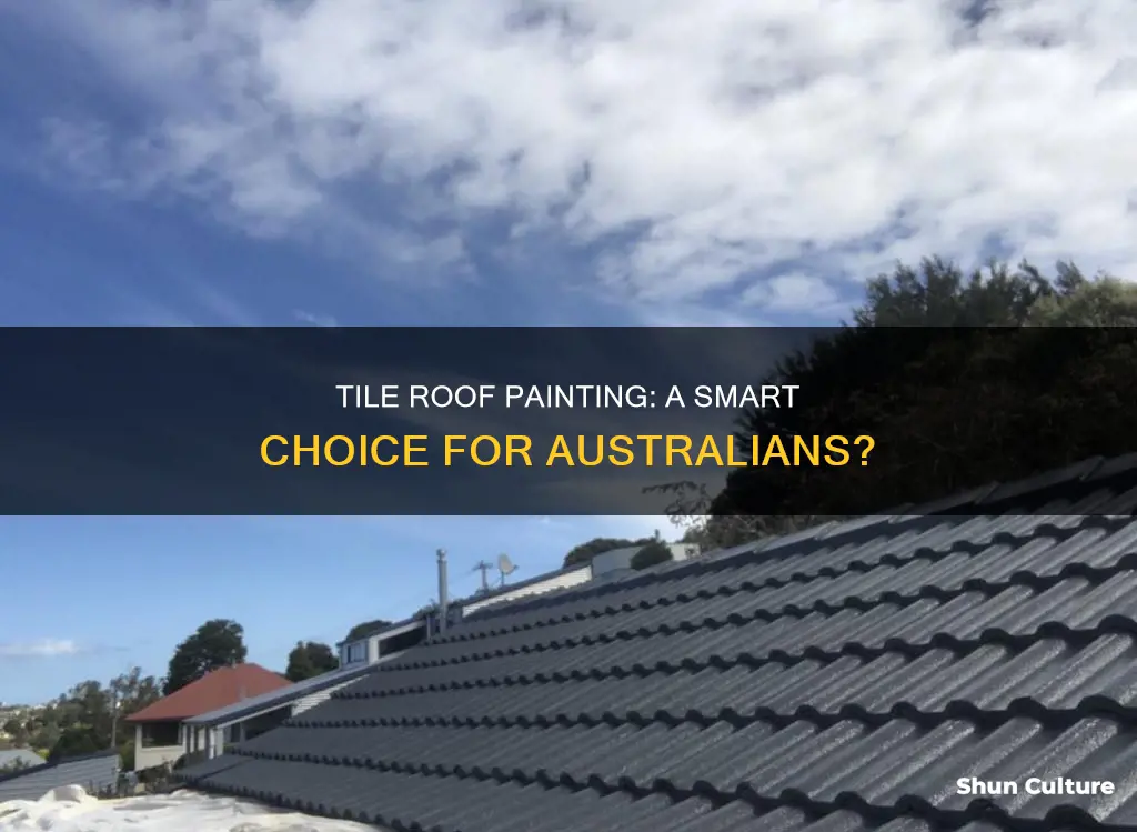 is tile roof painting a good idea australia