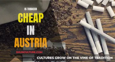 Austria's Tobacco Pricing: Affordable or Expensive?